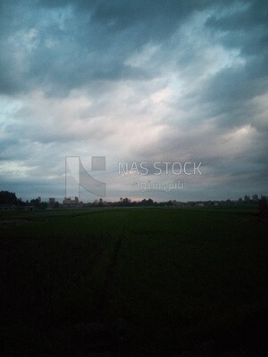 View of the field during Dhuha time, natural view