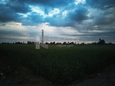 View of the field during Dhuha time, natural view
