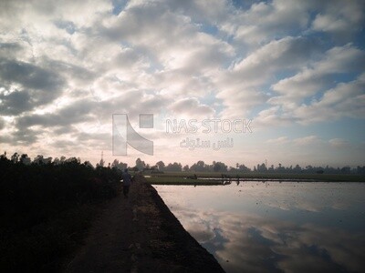 View of the Cedar Nurseries during the sunset, Farm &amp; Agriculture, Cedar Nurseries