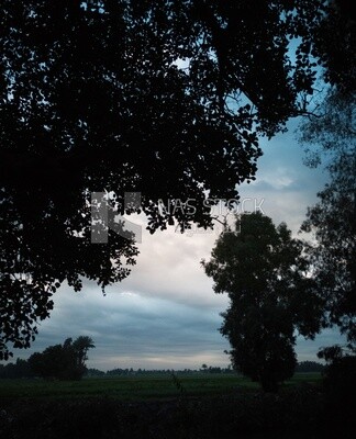 View of the field during Dhuha time, natural view