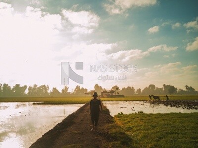 Boy standing in the field during the plowing of the land, Farm &amp; Agriculture, Cedar Nurseries
