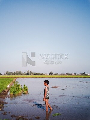 Boy standing in the field during the plowing of the land, Farm &amp; Agriculture, Cedar Nurseries