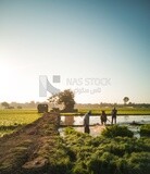 Two Farmers plowing the land by horse in the Cedar Nurseries, Farm &amp; Agriculture, Cedar Nurseries