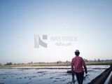 Boy standing in the field during the plowing of the land, Farm &amp; Agriculture, Cedar Nurseries