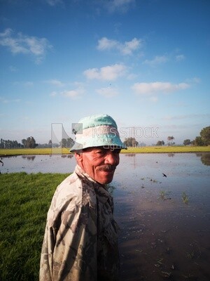 Close-up of a farmer in the Cedar Nurseries, Farm &amp; Agriculture, Cedar Nurseries