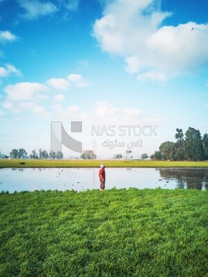 Boy standing in the field during the plowing of the land, Farm &amp; Agriculture, Cedar Nurseries