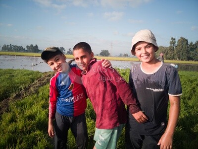 Three boys standing in the field during the plowing of the land, Farm &amp; Agriculture, Cedar Nurseries
