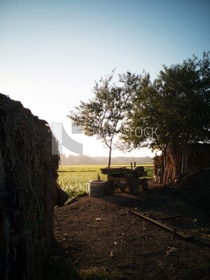 View from a countryside during sunset