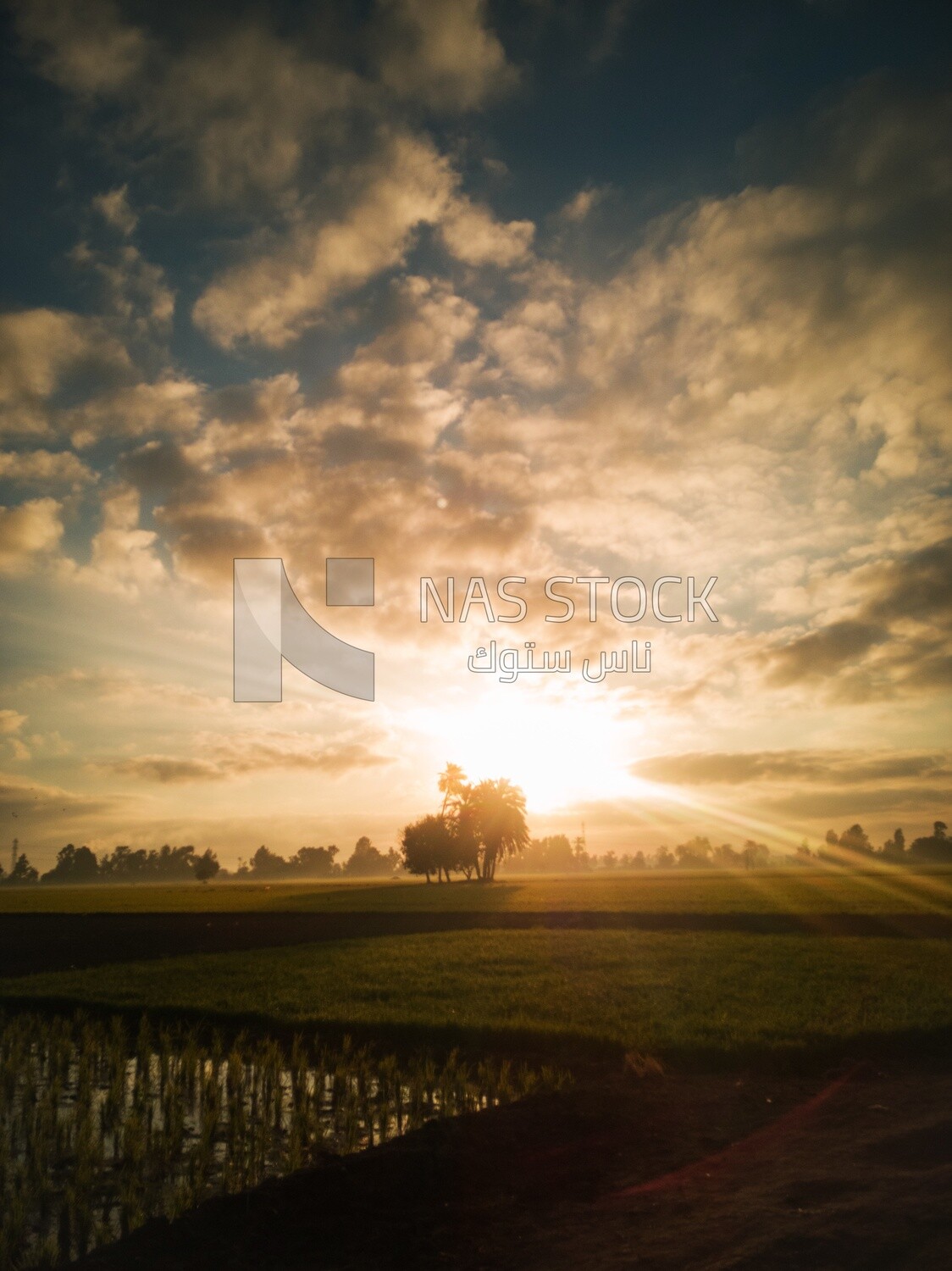 View from a countryside during sunset