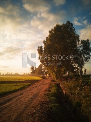 View from a countryside during sunset