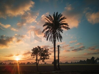 View from a countryside during sunset