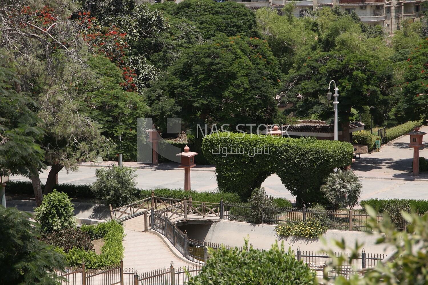 View of the garden of Japanese from inside, Nature