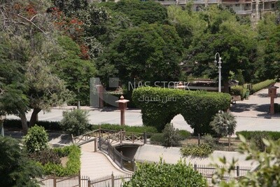 View of the garden of Japanese from inside, Nature