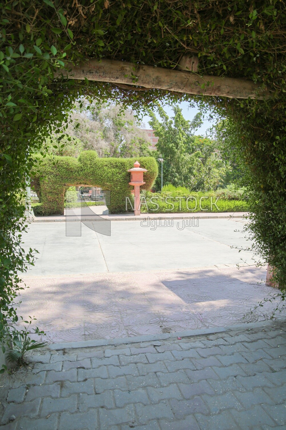 View of the garden of Japanese from inside, Nature