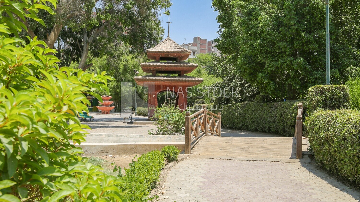 View of the garden of Japanese from inside, Nature