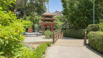 View of the garden of Japanese from inside, Nature