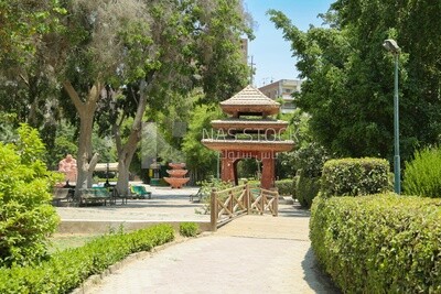 View of the garden of Japanese from inside, Nature