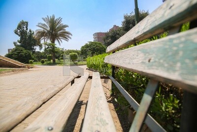 منظر للحديقة اليابانية من الداخل ،  طبيعة