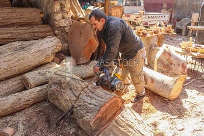 Man holding a chainsaw to cut wood from the tree log, Professions &amp; Crafts