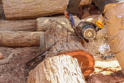 Man holding a chainsaw to cut wood from the tree log, Professions &amp; Crafts