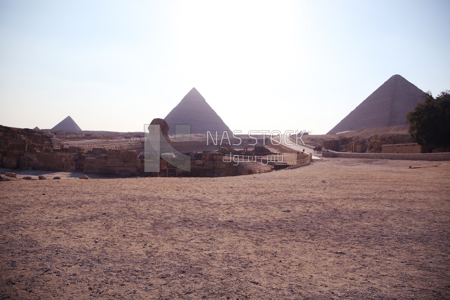 Pyramids of Giza and the Great Sphinx,Egypt