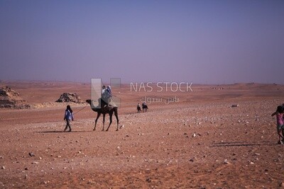 Tourists ride a camel