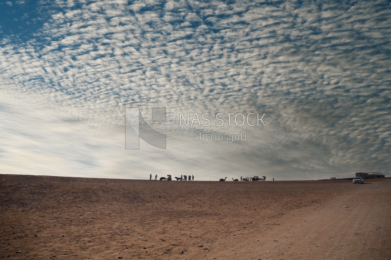 Sun over the desert