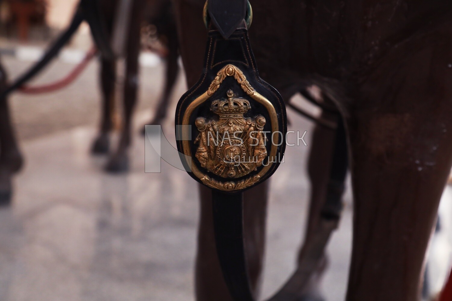 Gold medal hanging from a horse&#39;s saddle, Royal Chariot Museum, Cairo, Egypt