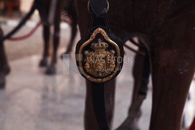 Gold medal hanging from a horse&#39;s saddle, Royal Chariot Museum, Cairo, Egypt