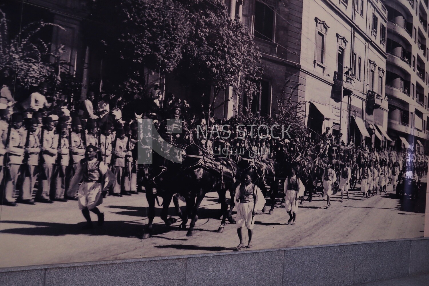 Black and white picture of a royal procession consisting of horses, chariots and servants, past times, ancient Egypt