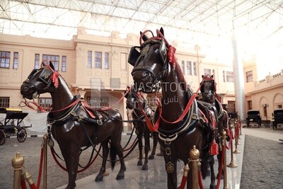 Statues of horses with saddles pulling royal chariots, Royal Chariot Museum, Cairo, Egypt