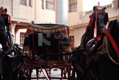 Main hall of the Royal Vehicles Museum , Cairo, Egypt