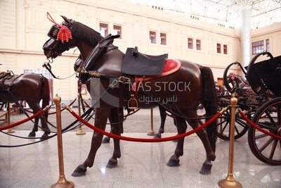 Statue of a horse with a saddle pulling a royal chariot in the Royal Chariot Museum, Cairo, Egypt.