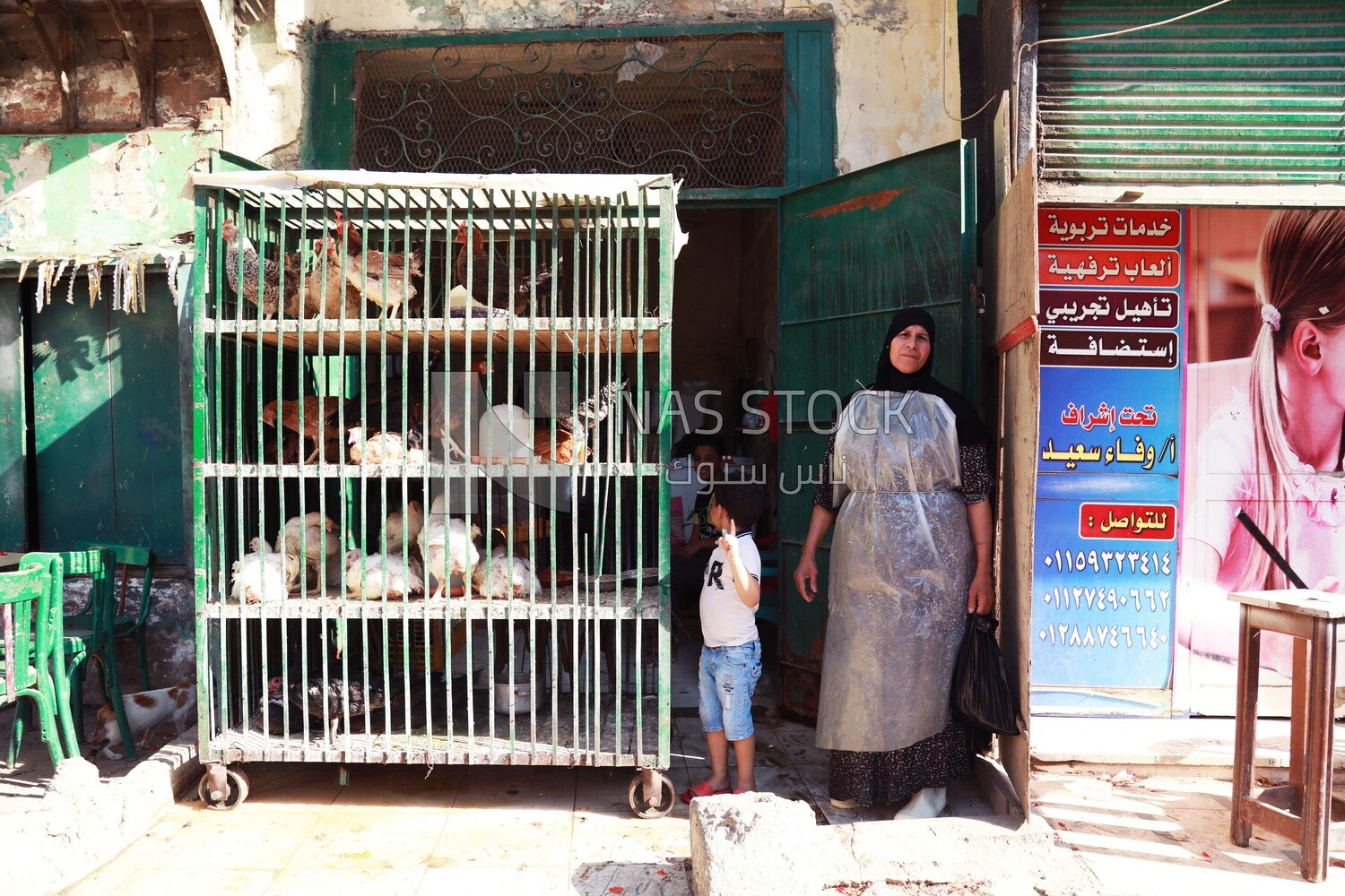 Woman working in a poultry store