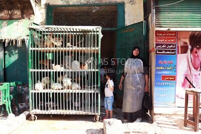 Woman working in a poultry store