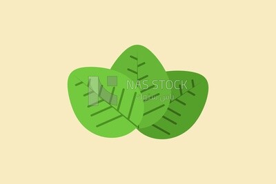 Green plant, icons and templates, vector illustrator