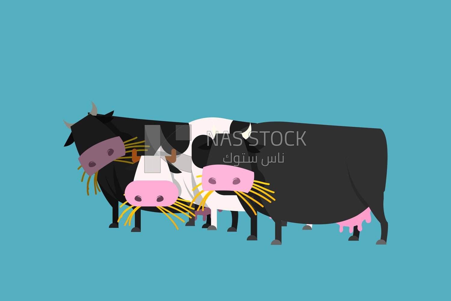 Cows, icons and templates, vector illustrator