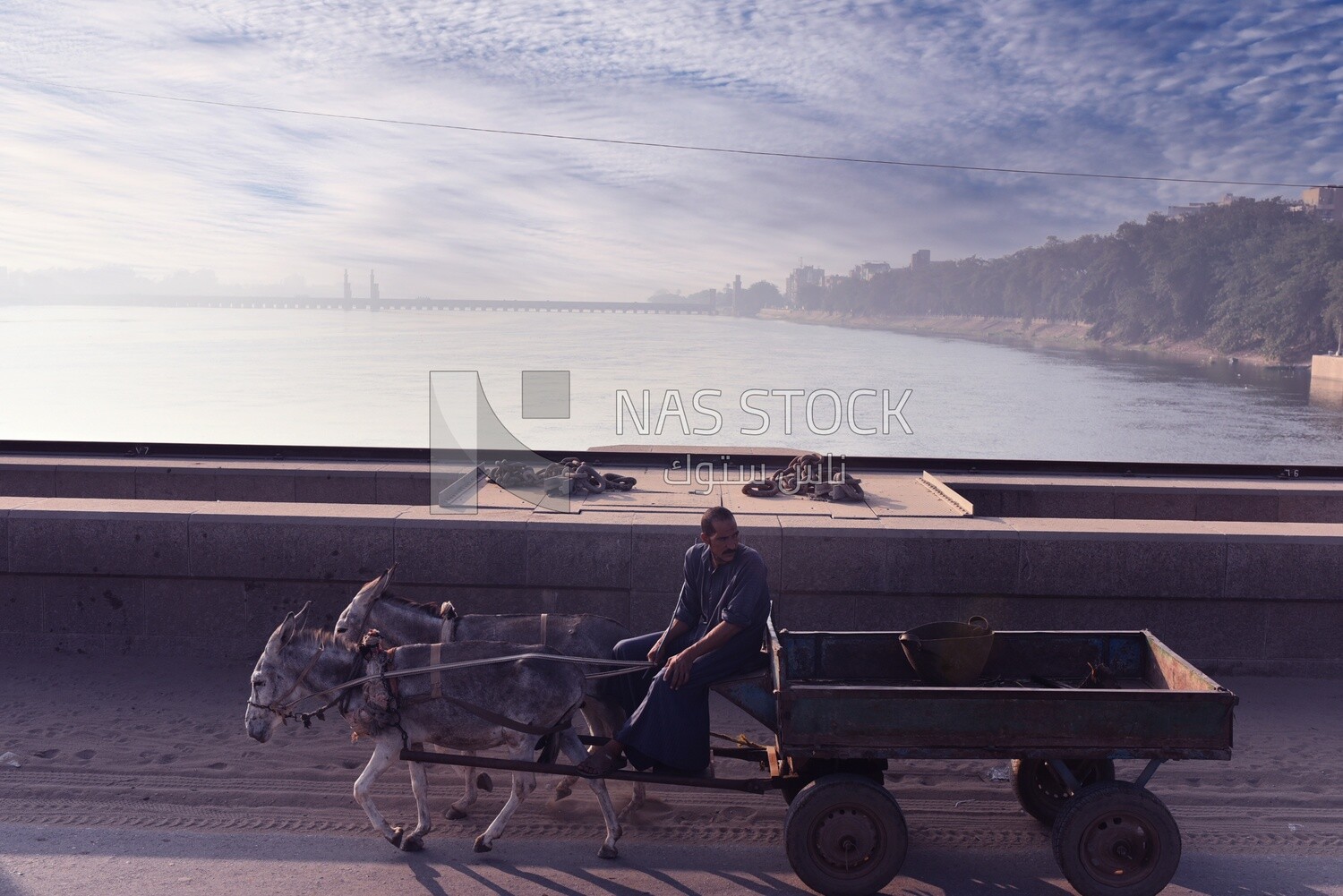 Man drives a donkey cart on a bridge over the Nile River