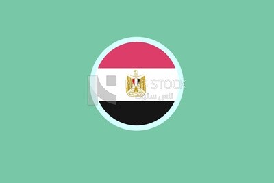 The flag of egypt, icons, templates and vector illustrator