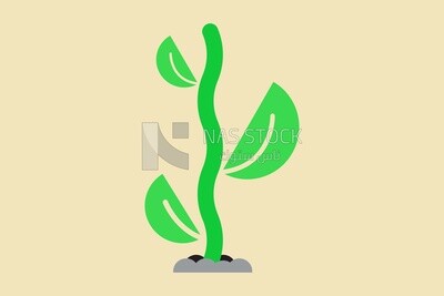 Plant, icons, templates and vector illustrator