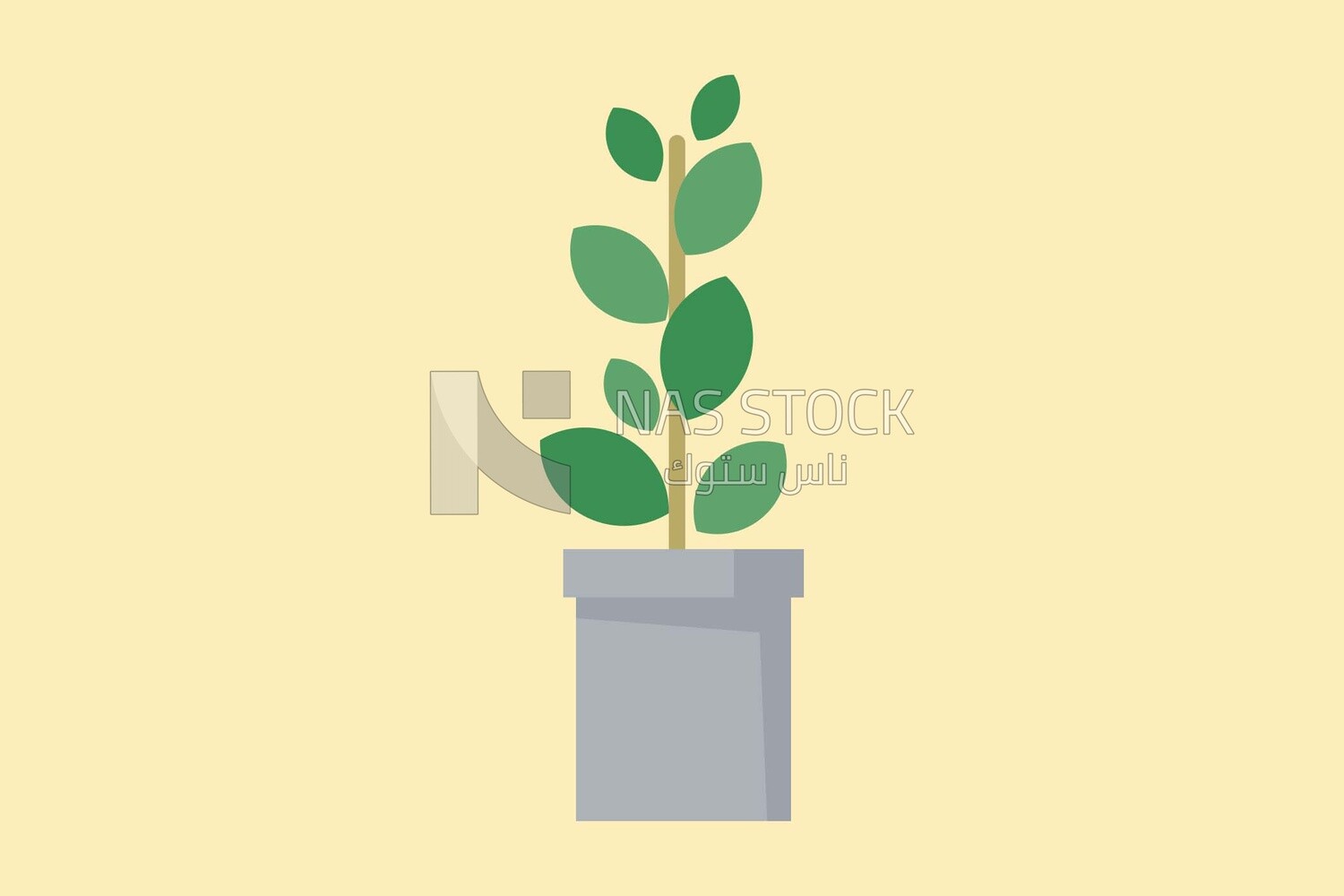 Green plant, icons, templates and vector illustrator
