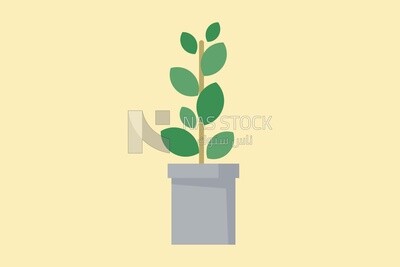 Green plant, icons, templates and vector illustrator