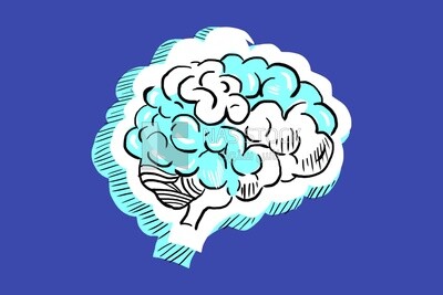 Human brain icon, icons, templates and vector illustrator