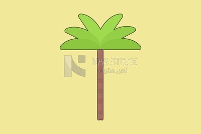 Palm tree, icons, templates and vector illustrator