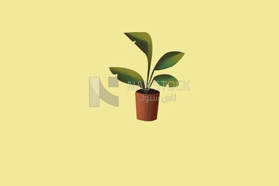 Green plant, icons, templates and vector illustrator