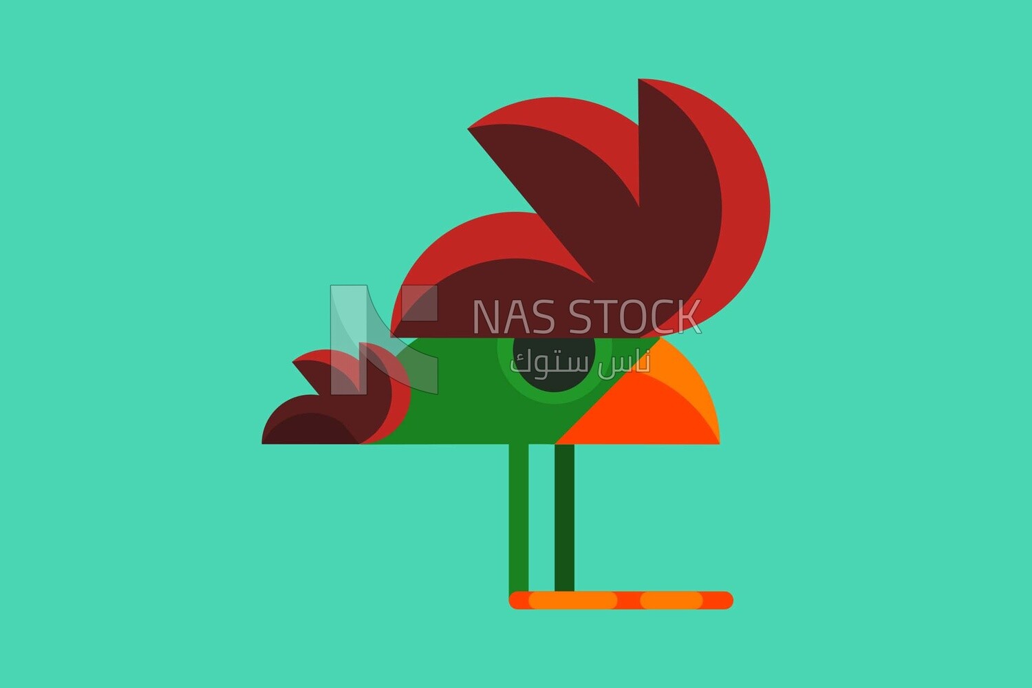 Parrot