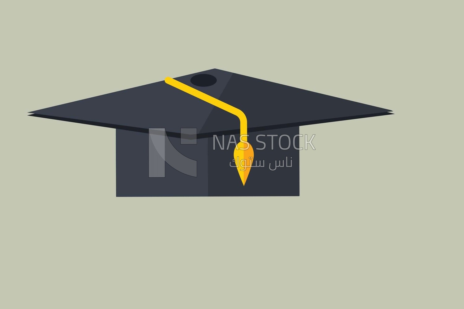 Graduation cap, icons and templates, vector illustrator
