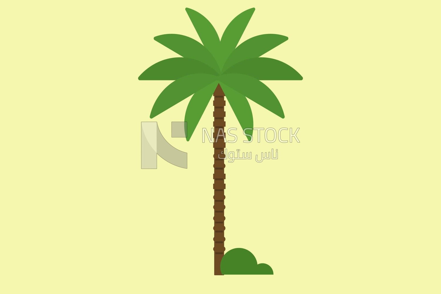 Palm tree, graphics, icons, vector illustrator.