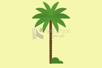 Palm tree, graphics, icons, vector illustrator.