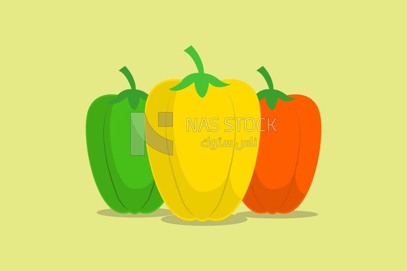 Set of three colored peppers, icons and templates, vector illustrator